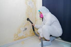 Trusted Taylorsville, NC Mold Inspection Experts